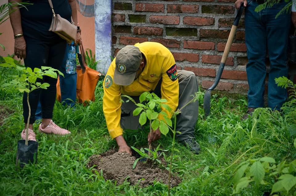 Señor plantando un árbol