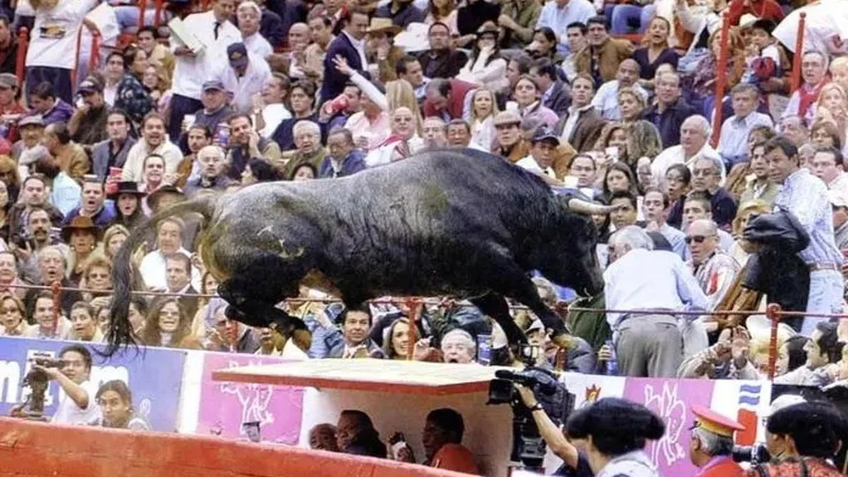Toro el Pajarito saltando en la Plaza México