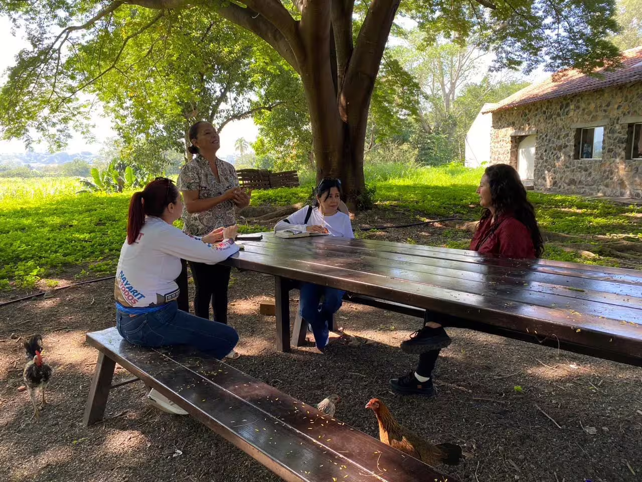 Mujeres en una mesa, con un bonito paisaje