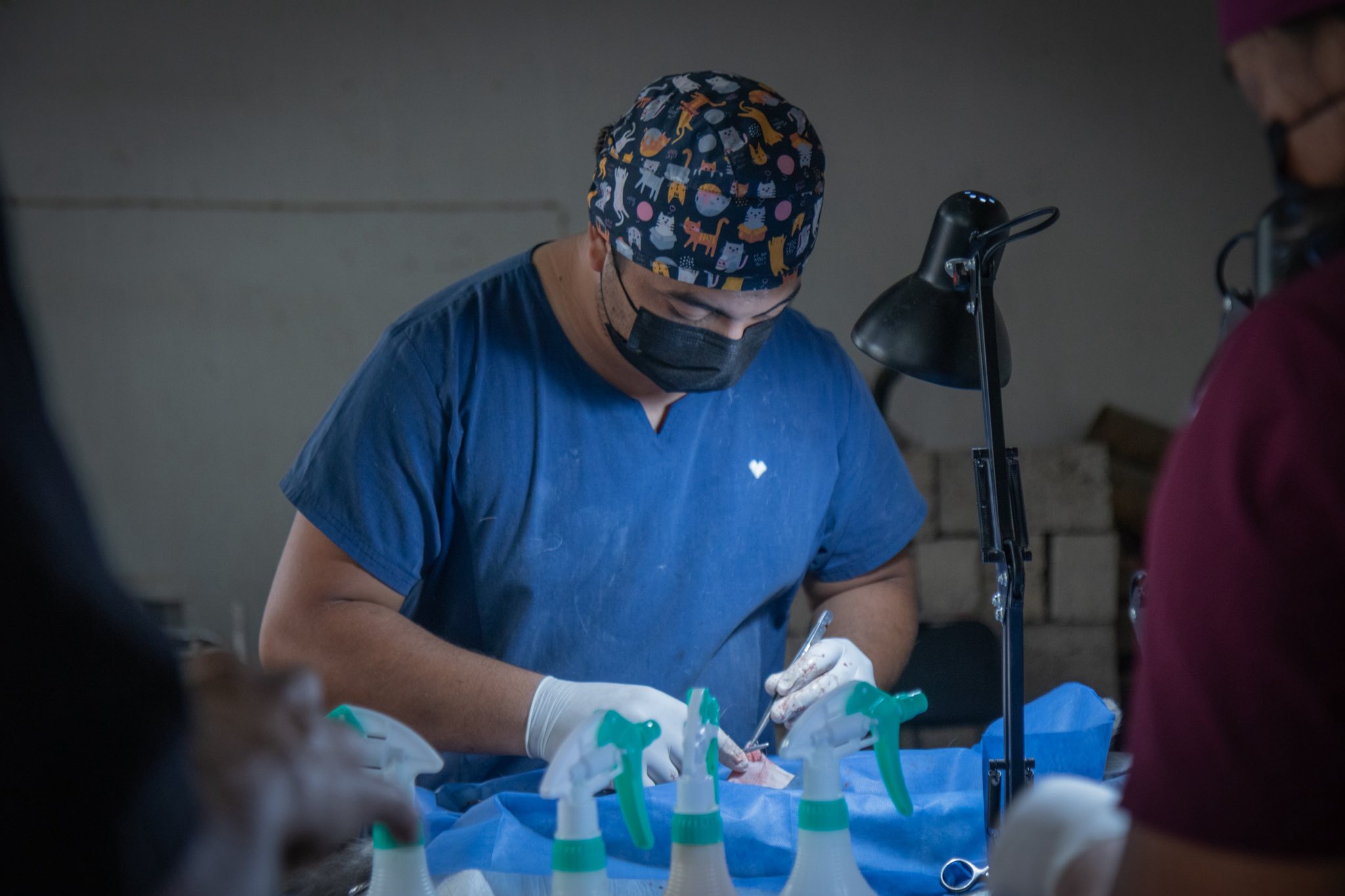 esterilizacion canina en jala