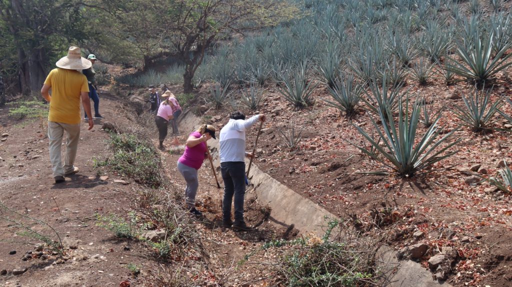  limpieza de canales en Ahuacatlán