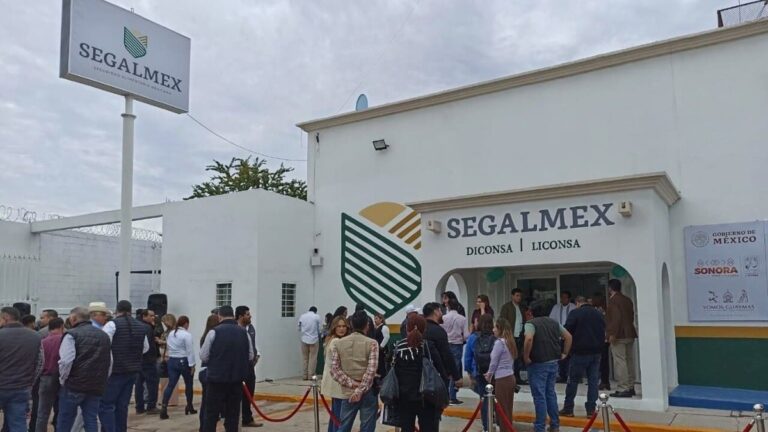 auditoría a Segalmex