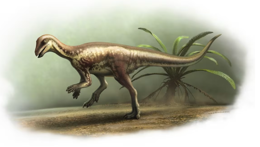 Descubren una nueva especie de dinosaurio del tamaño de un perro en Estados Unidos