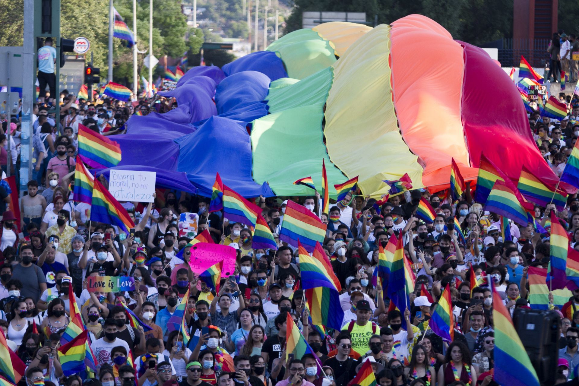LGBTQI+