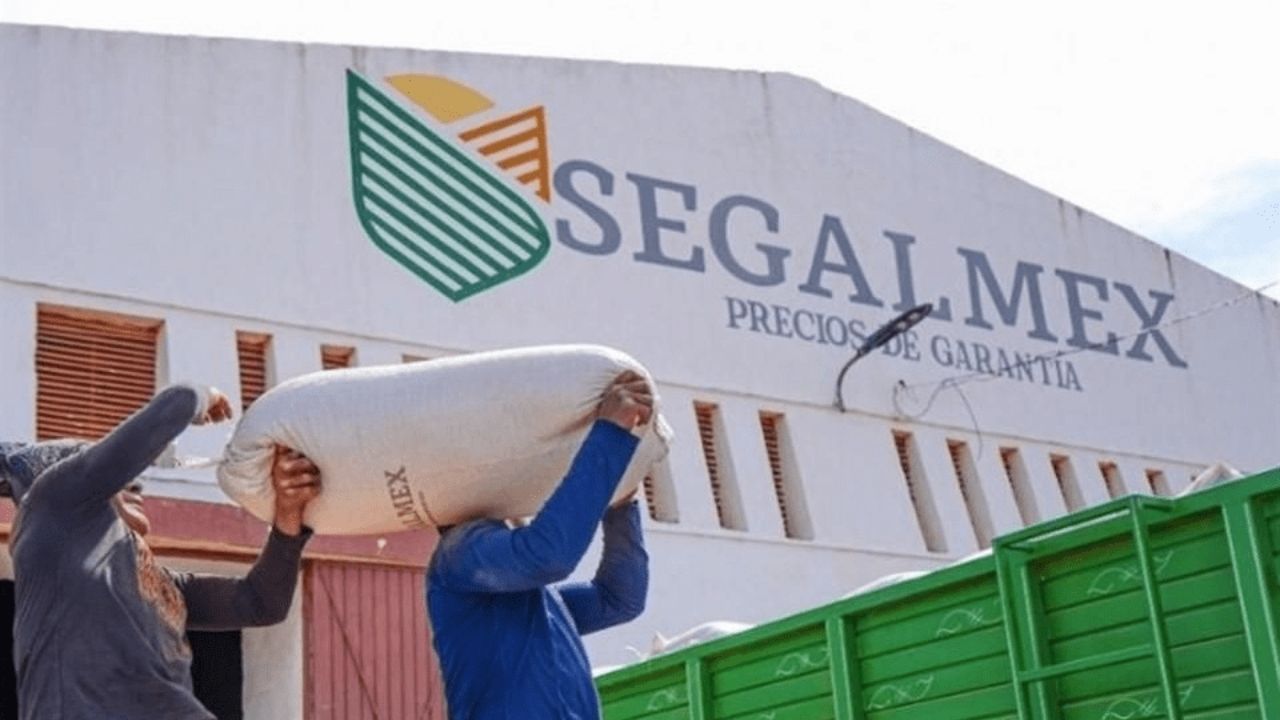 auditoría a Segalmex
