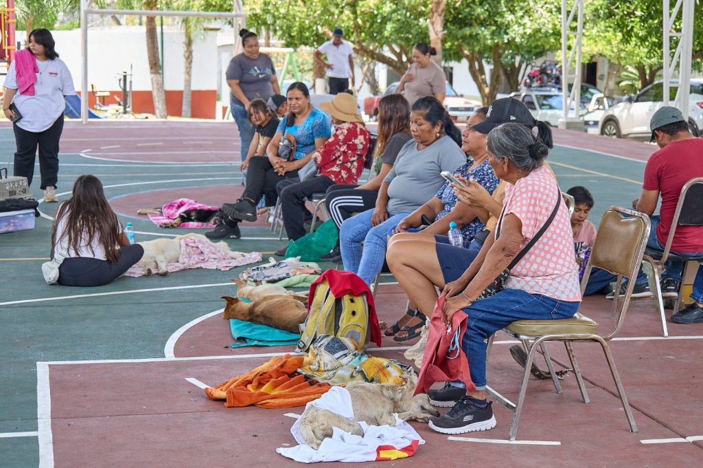 Jala promueve la salud pública con campaña de esterilización a bajo costo