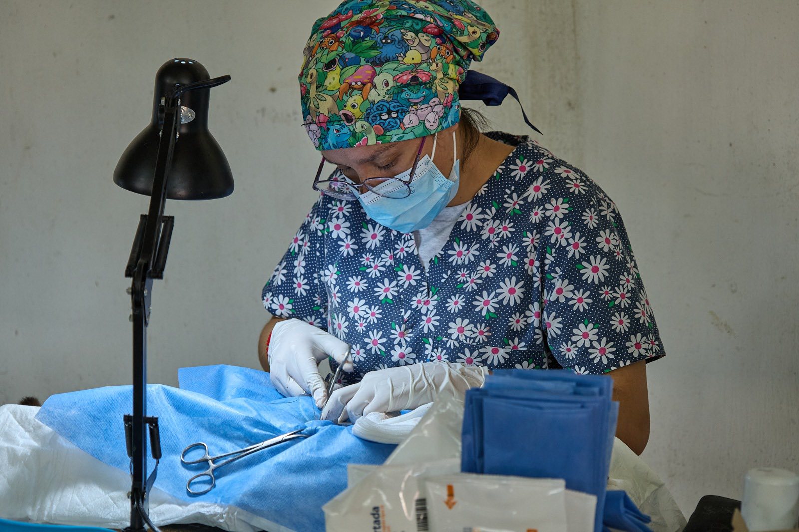 Jala promueve la salud pública con campaña de esterilización a bajo costo