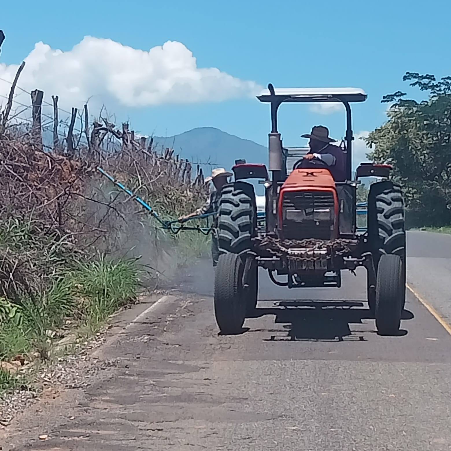 Control de Maleza en Amatlán de Cañas: Mantenimiento que se nota en calles y caminos