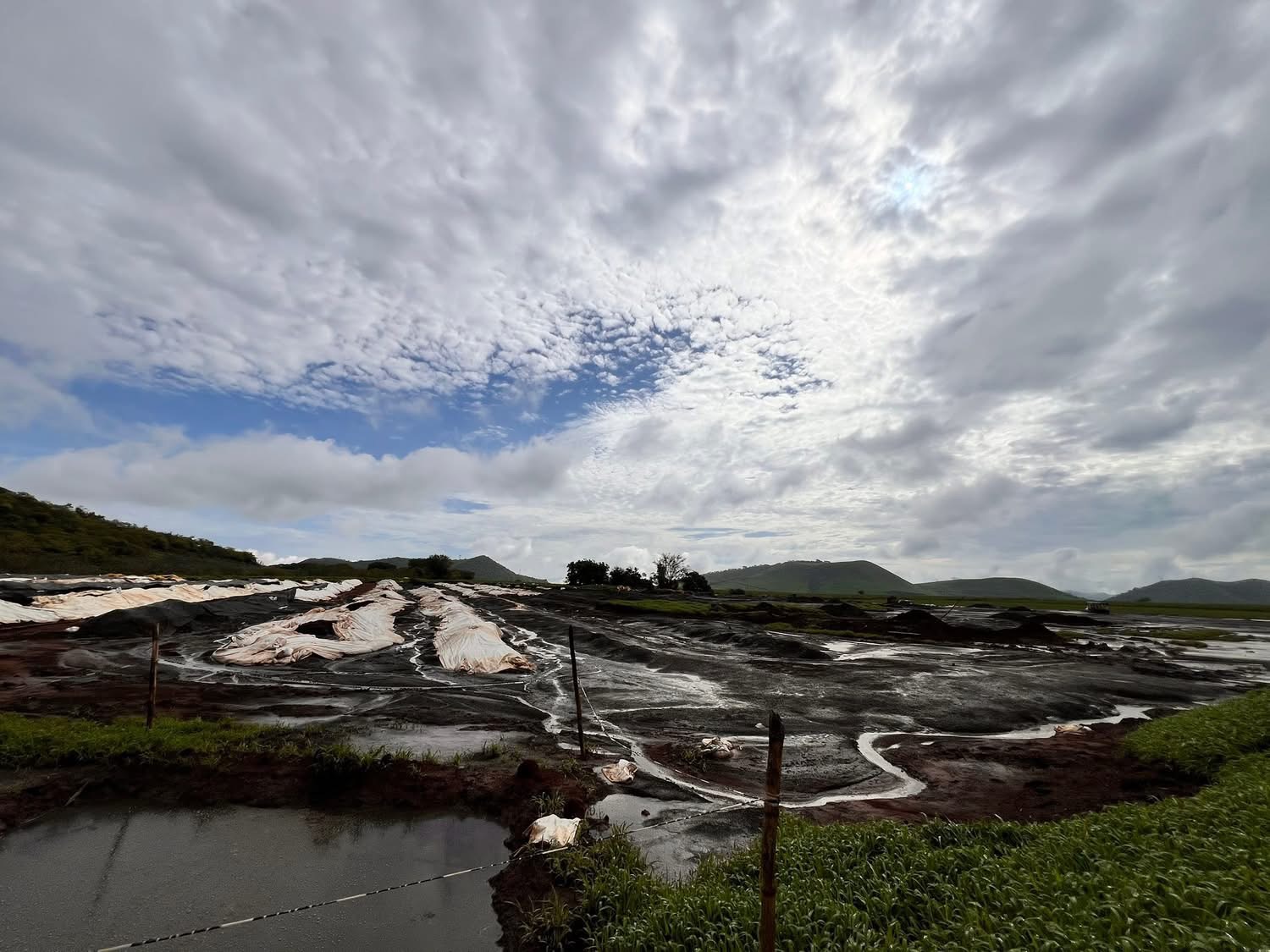 Un grave foco de contaminación en El Limón Nayarit pone en riesgo cultivos y la salud de la comunidad por el uso de tierras como sitio de desecho, alertan vecinos.