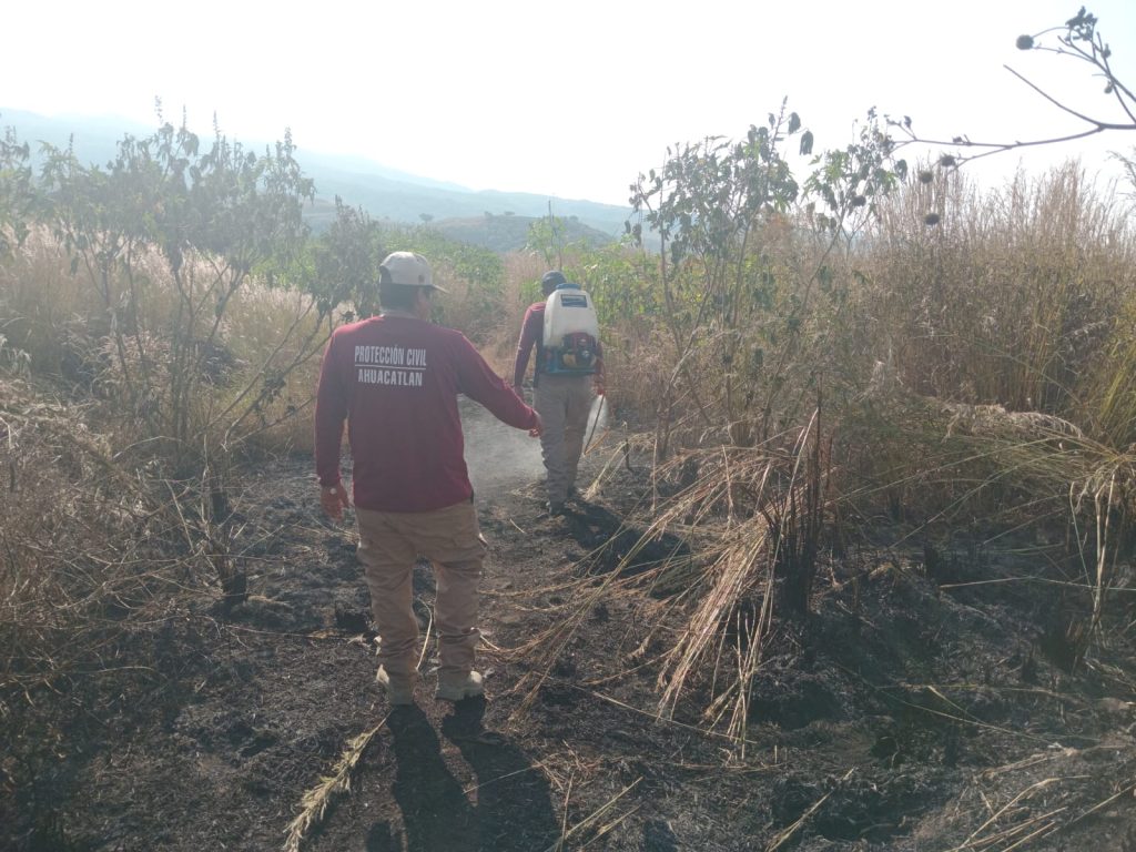 Incendio en la carretera federal 15 es controlado por Protección Civil de Ahuacatlán