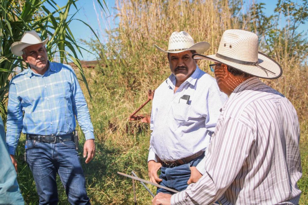 Impulso al sector ganadero en Santa María del Oro con evaluación de parcela demostrativa de forrajes