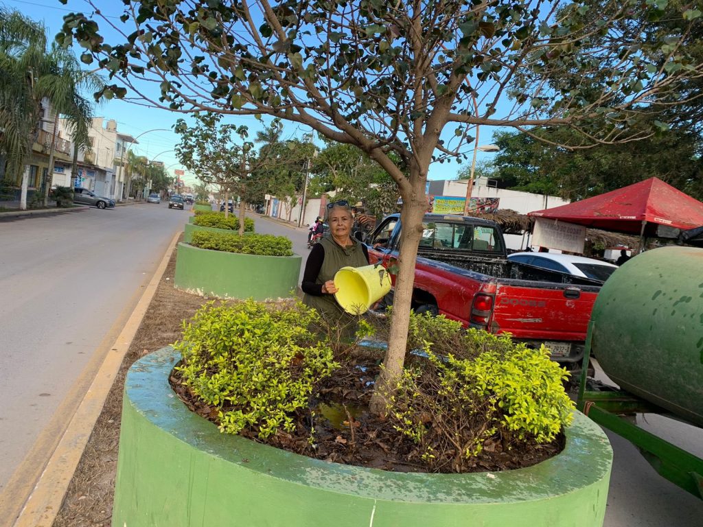 Gobierno Municipal refuerza el mantenimiento de áreas verdes en la cabecera municipal