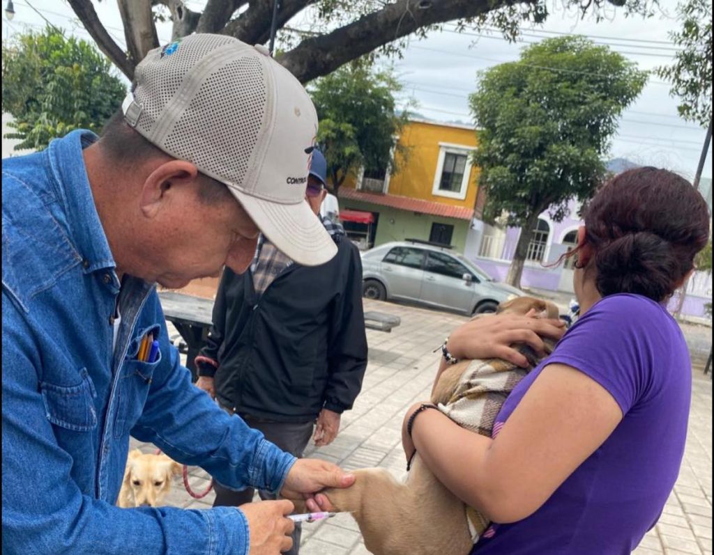 Realizan Jornada de Vacunación Antirrábica Canina y Felina en La Pila del Arenal, Jala