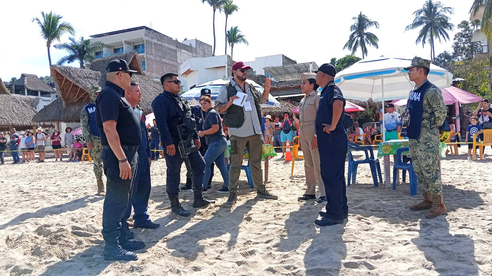 Autoridades atienden avistamiento de elefante marino en playas de Nayarit