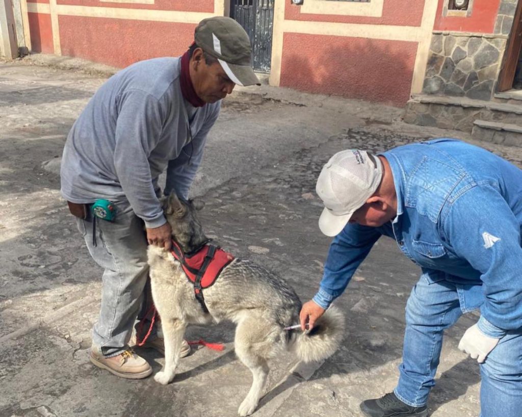 Realizan Jornada de Vacunación Antirrábica Canina y Felina en La Pila del Arenal, Jala