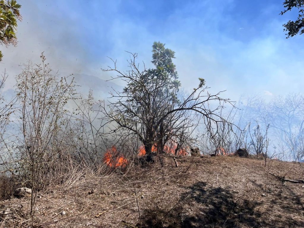 Protección Civil de Jala atiende incendio en predio cercano a la autopista