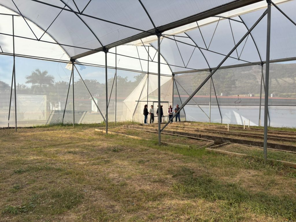 Gobierno municipal impulsa proyecto Huerto en tu Escuela en el CBTa 245 de Santa Isabel