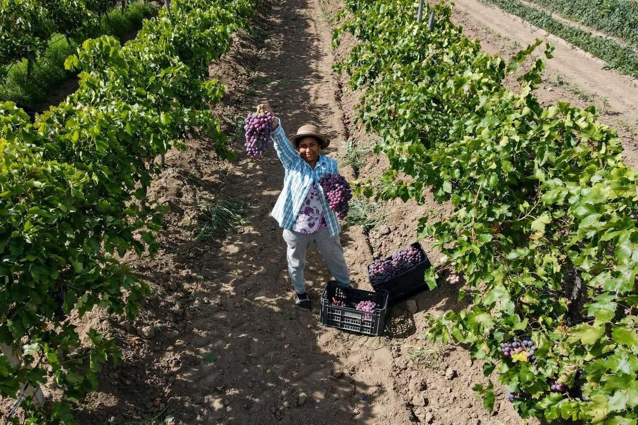 Impulsan apoyos para mejoramiento de pozos agrícolas en el estado