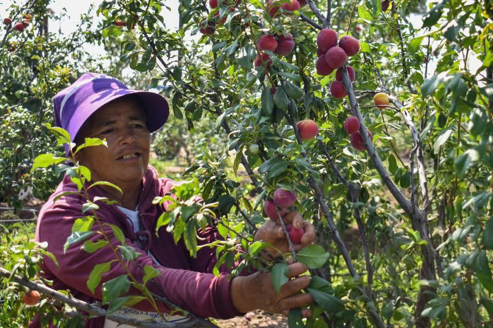 Impulsan apoyos para mejoramiento de pozos agrícolas en el estado