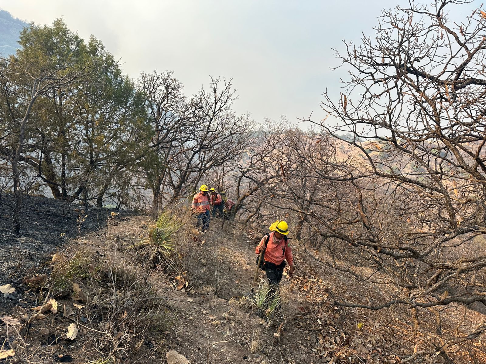 Continúan labores para controlar incendio en Cerro El Vigía en La Yesca