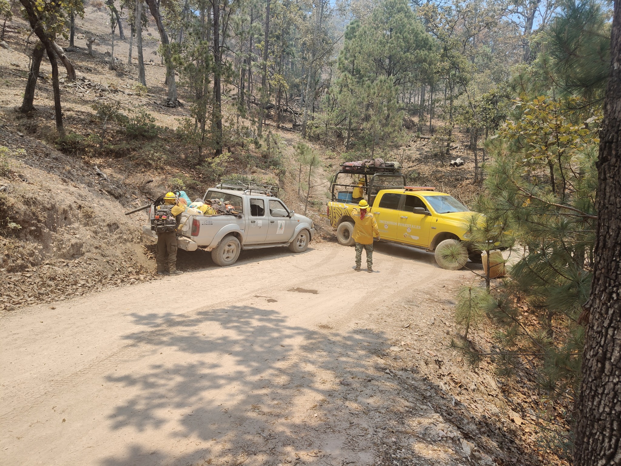 Incendio forestal en la sierra de Nayarit genera riesgo en carretera