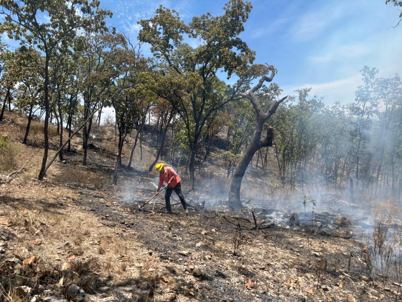 Avanza control del incendio forestal en El Ocotillo, municipio de Santa María del Oro