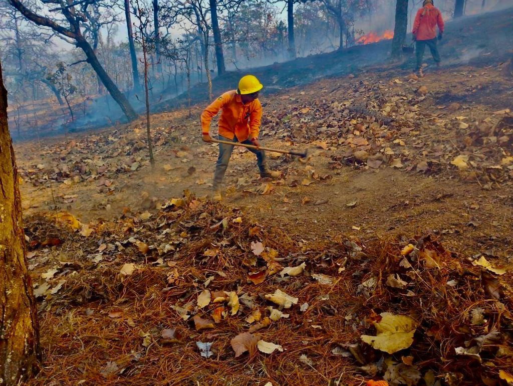 Gobierno de Nayarit refuerza combate al incendio forestal en La Yesca