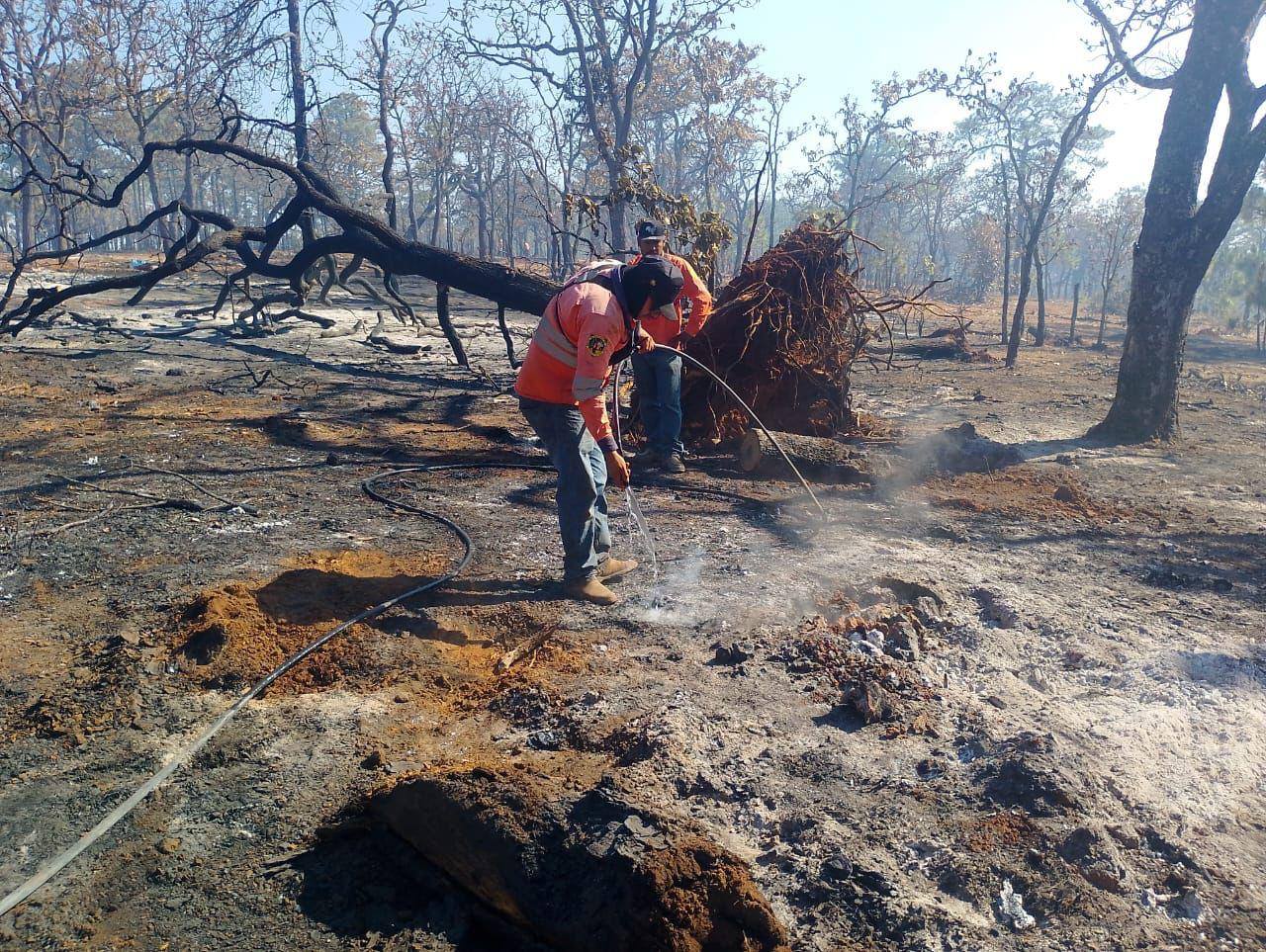 Gobierno de Nayarit refuerza combate al incendio forestal en La Yesca