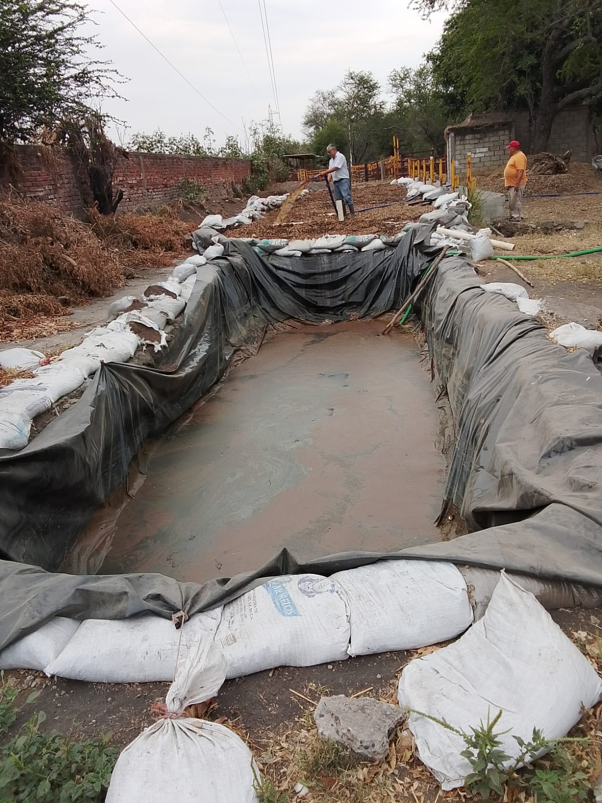 Producción de bioinsumos en Ahuacatlán impulsa alternativas sostenibles para fortalecer cultivos de maíz