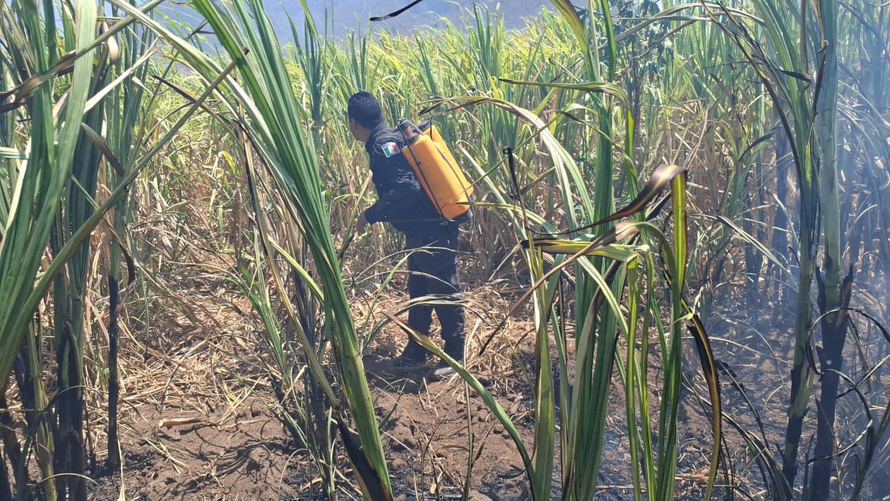 Incendio en camino a la laguna de San Pedro Lagunillas es controlado; mantienen vigilancia preventiva en la zona