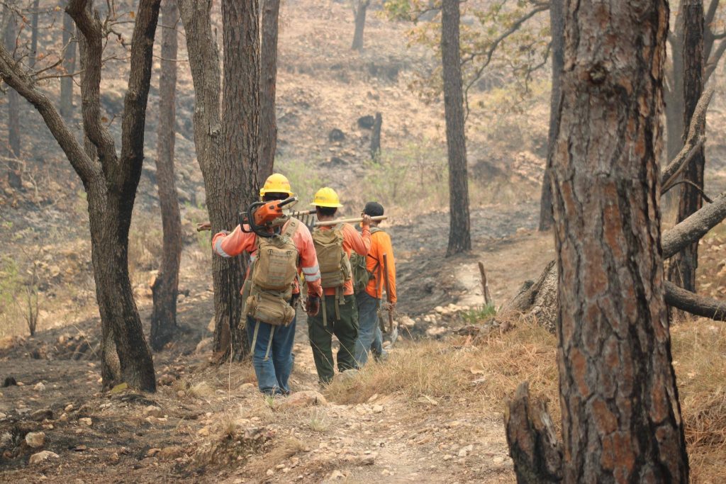 Controlan incendio forestal en Ixtlán del Río tras tres días de labores interestatales