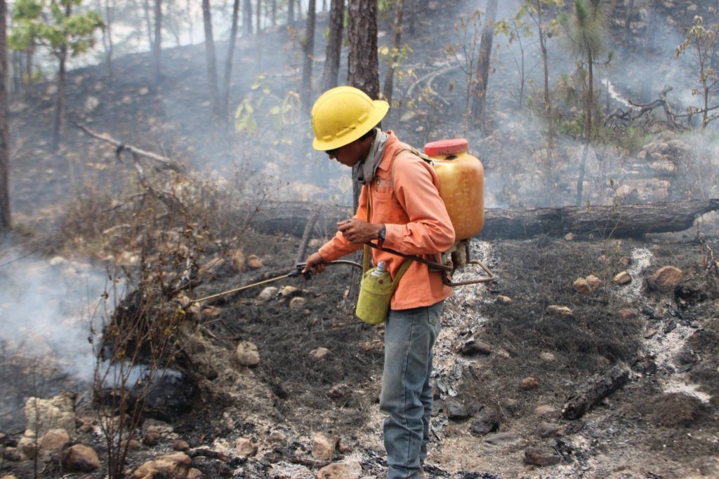 Controlan incendio forestal en Ixtlán del Río tras tres días de labores interestatales