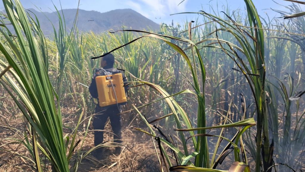 Incendio en camino a la laguna de San Pedro Lagunillas es controlado; mantienen vigilancia preventiva en la zona
