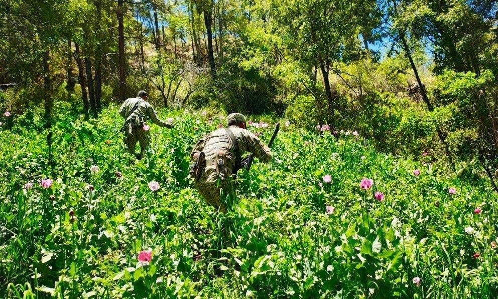 Nayarit fortalece la paz con estrategia integral de seguridad, prevención y atención social