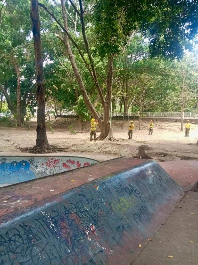 Gobierno de Nayarit realiza poda preventiva y retiro de árboles en La Loma para reforzar la seguridad