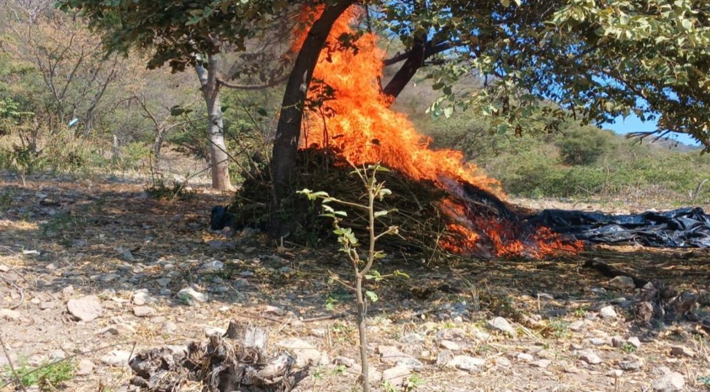 Paz y tejido social fortalecen estrategias de bienestar en Nayarit