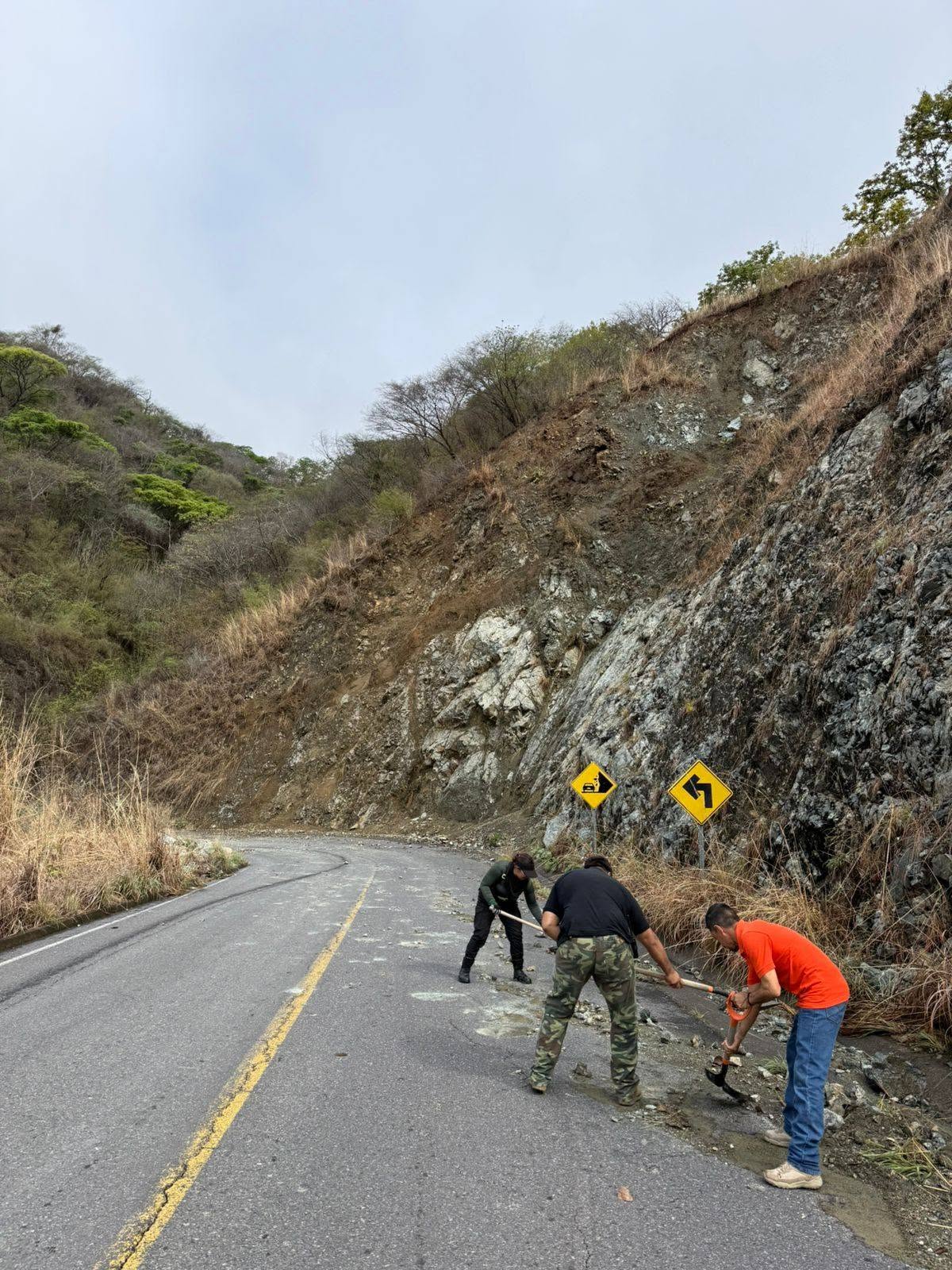 Limpieza carretera Amatlán de Cañas fortalece la seguridad vial tras las lluvias