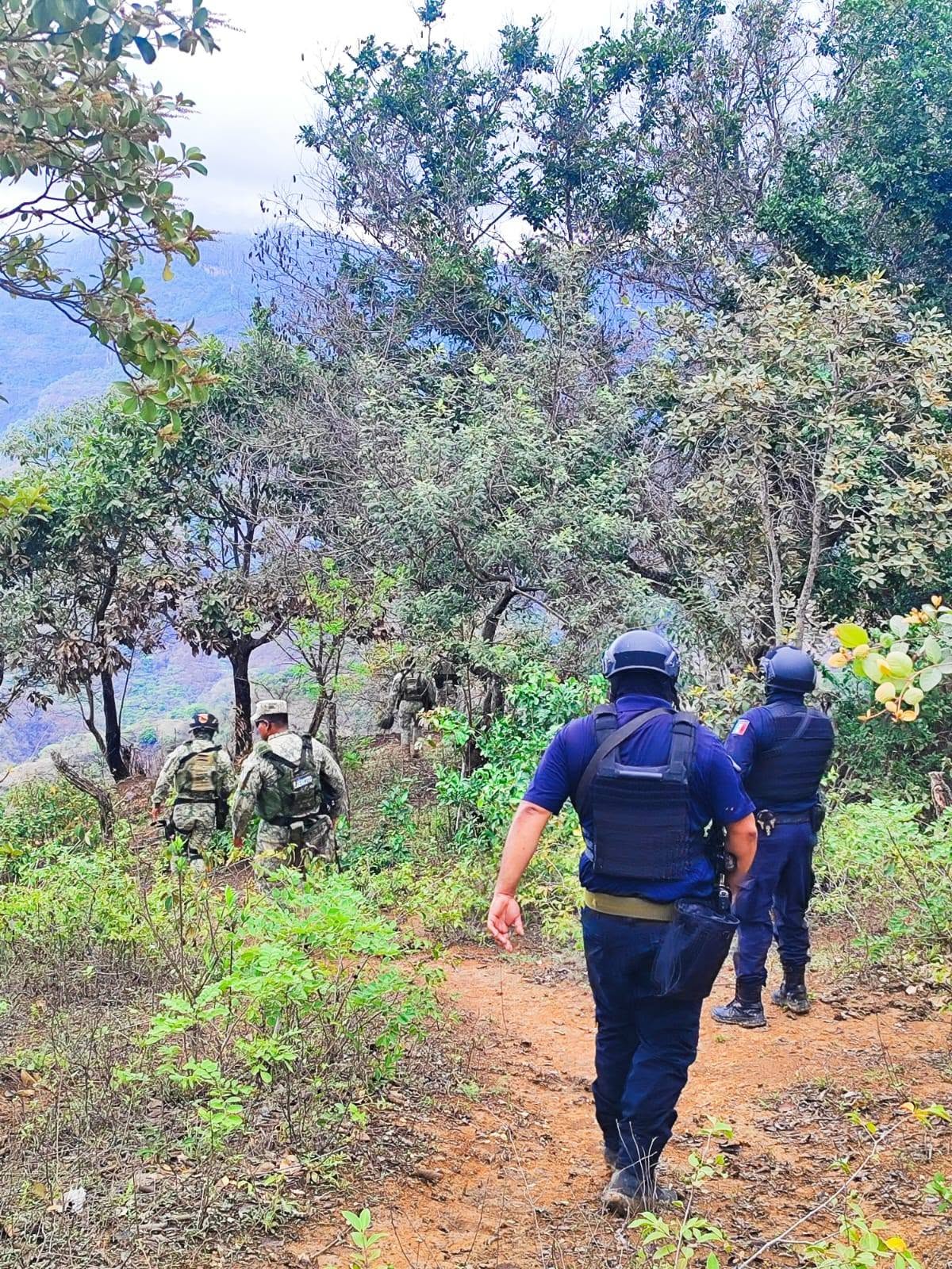 Paz y tejido social fortalecen estrategias de bienestar en Nayarit