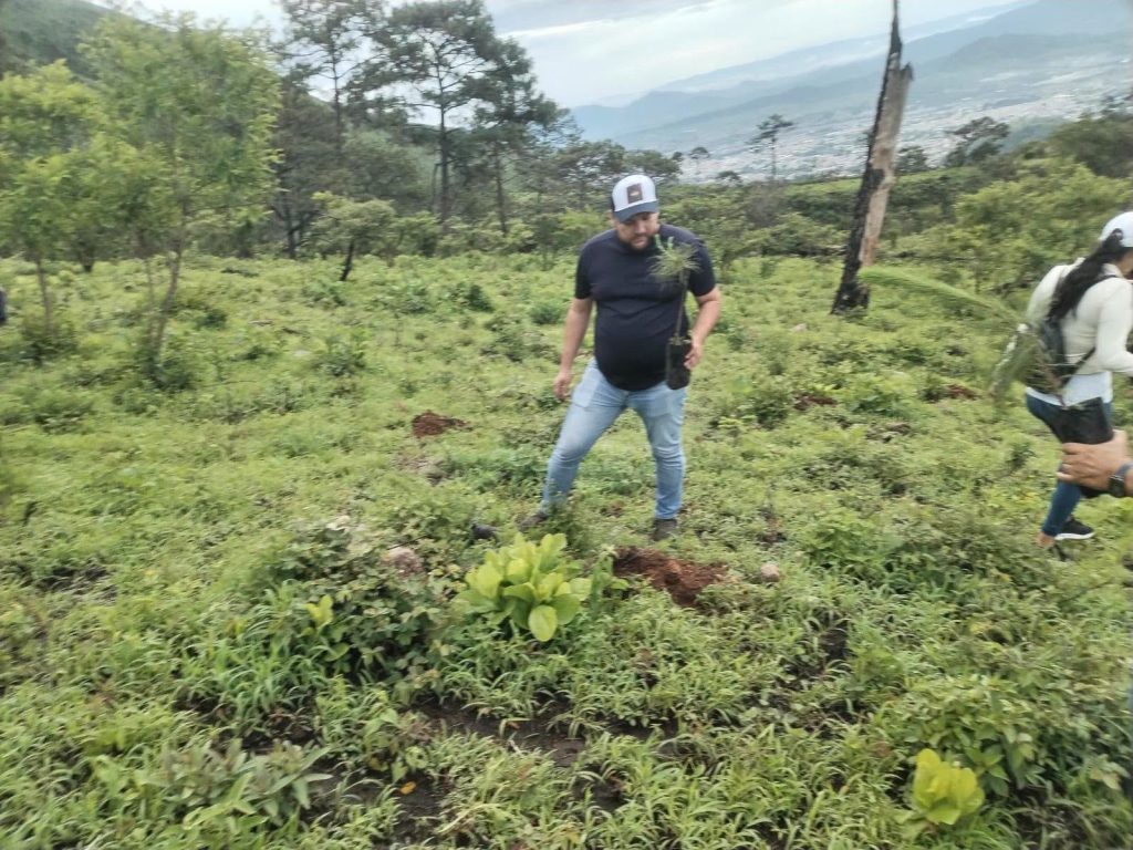 Reforestación en la Sierra de San Juan fortalece la conservación ambiental en Nayarit