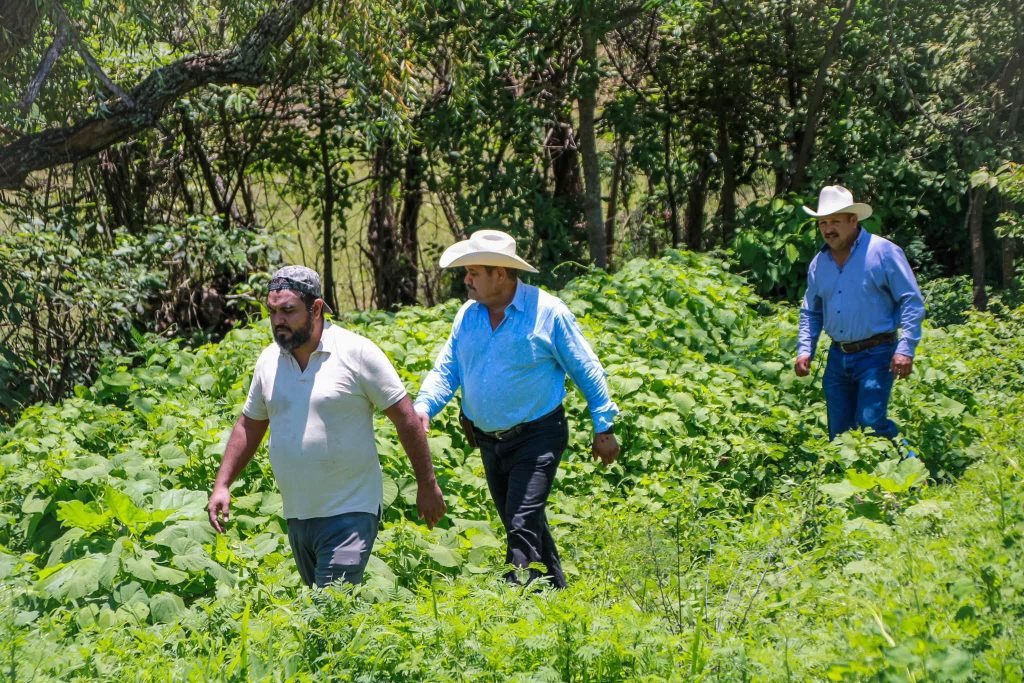 Regularización de concesiones de agua fortalece al sector productivo de Santa María del Oro