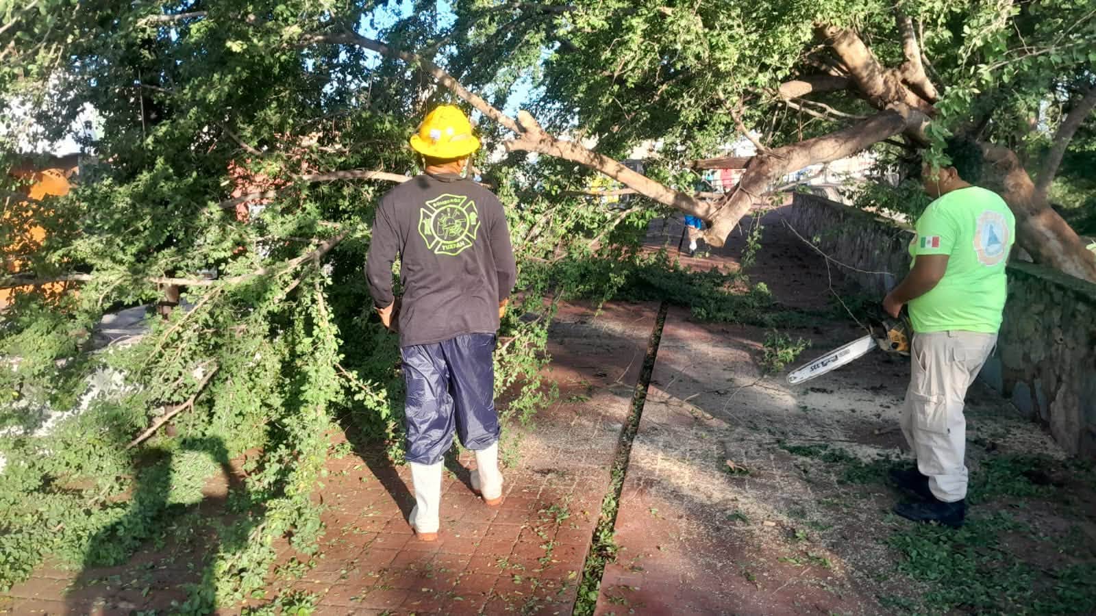 Gobierno de Tuxpan mantiene operativo para liberar vialidades tras las lluvias
