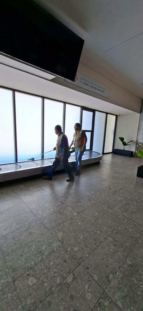 Vigilancia contra mosquitos se fortalece en el Aeropuerto Internacional Tepic-Riviera Nayarit