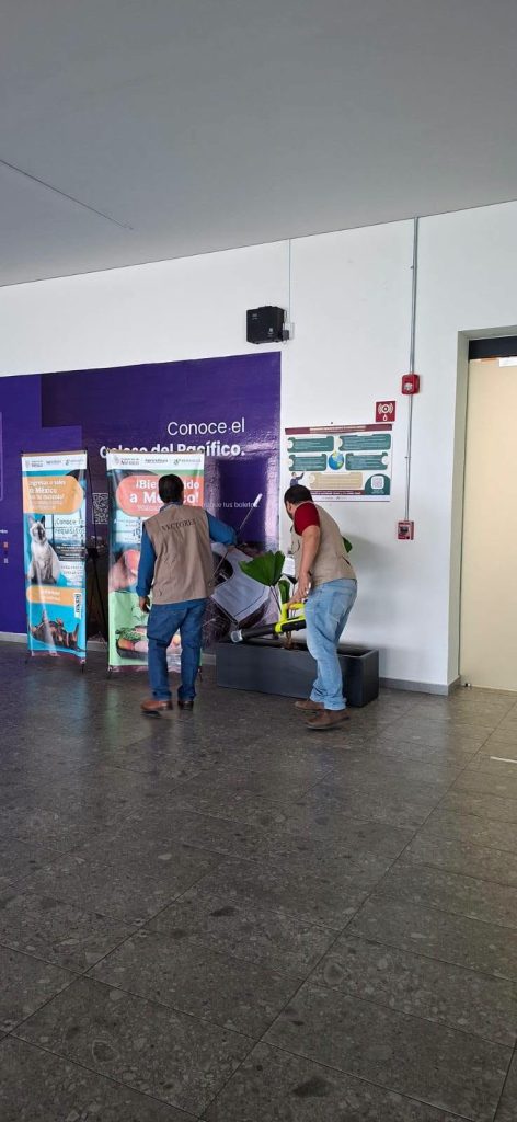 Vigilancia contra mosquitos se fortalece en el Aeropuerto Internacional Tepic-Riviera Nayarit