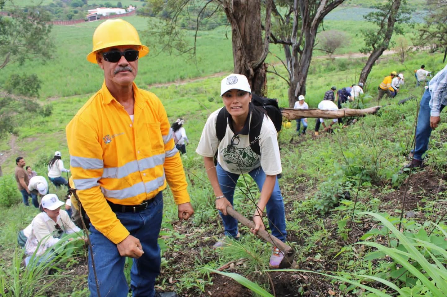 Reforestación Sierra de San Juan fortalece la conservación del hábitat del jaguar en Nayarit
