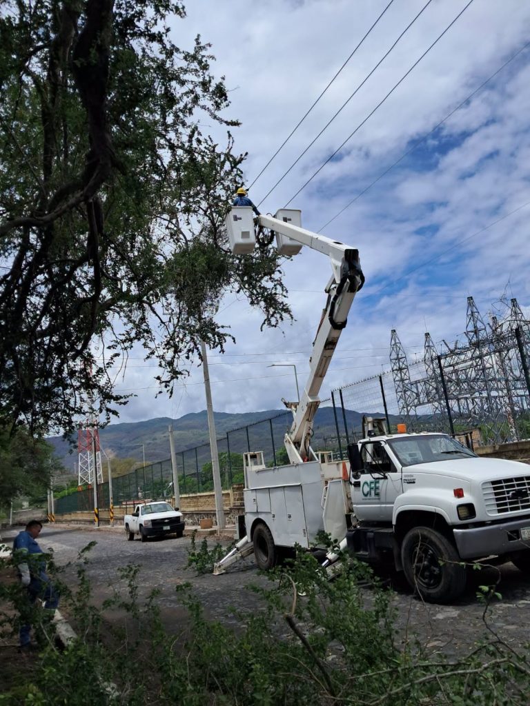 Servicios Públicos realiza obras de mejoramiento urbano y mantenimiento en Ahuacatlán