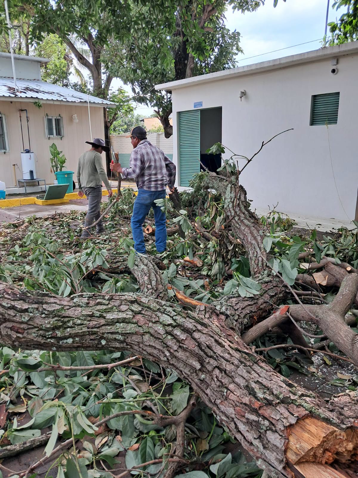 Servicios Públicos realiza obras de mejoramiento urbano y mantenimiento en Ahuacatlán