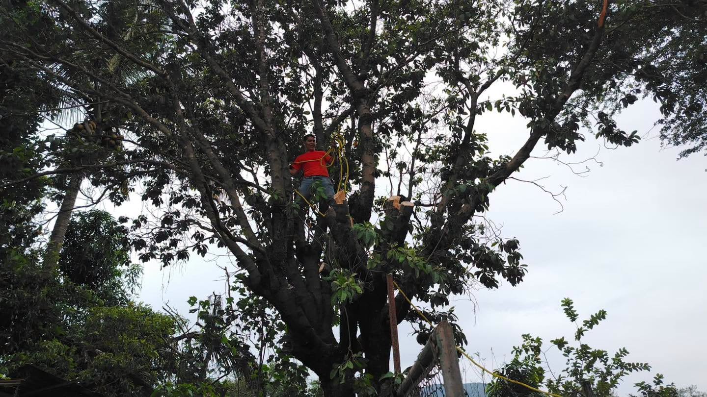 Inician trabajos preliminares para la construcción de bocas de tormenta en la colonia Demetrio Vallejo