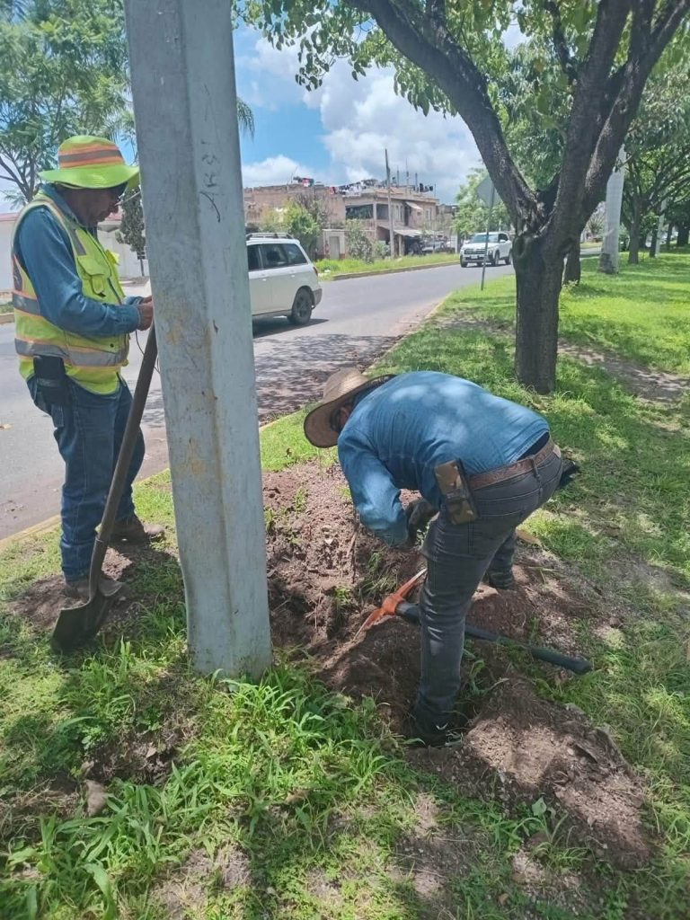 Alumbrado público fortalece la iluminación en colonias de Tepic con trabajos de mantenimiento