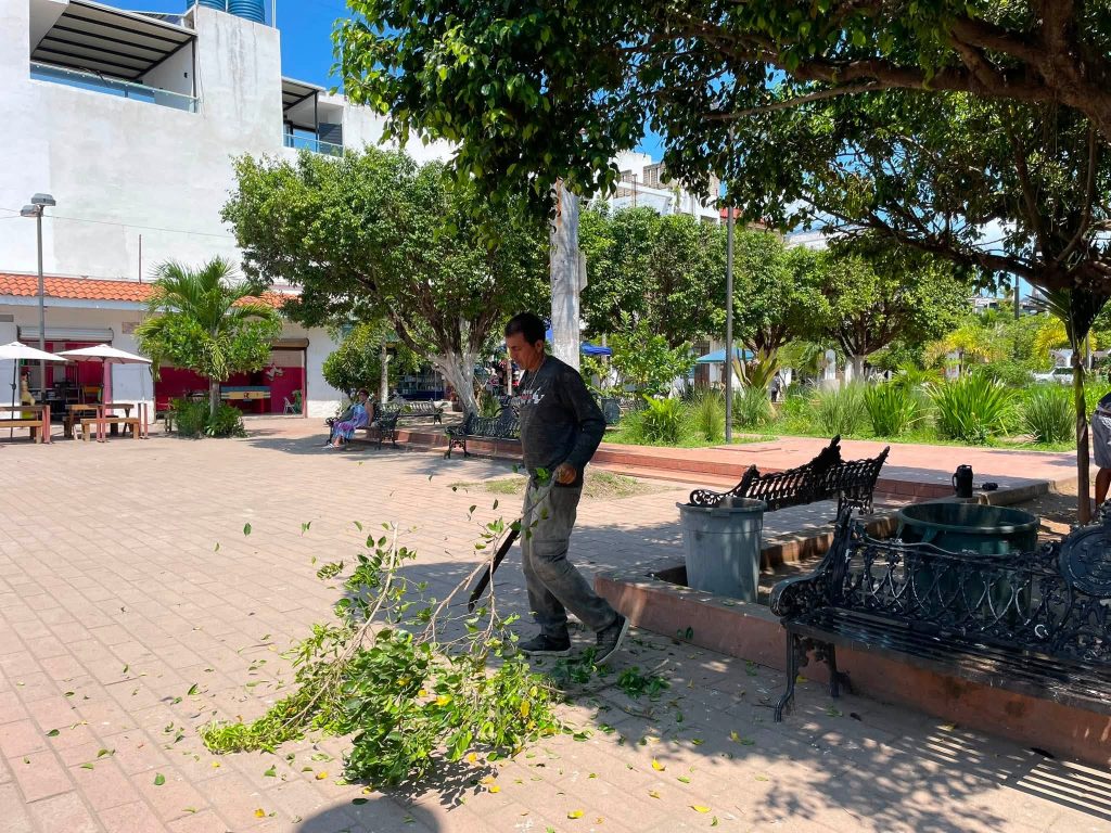 San Blas refuerza el mantenimiento de la Plaza Principal con trabajos de poda preventiva