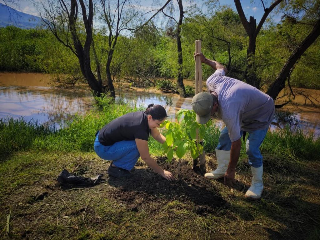 Xalisco impulsa jornada de reforestación en el Río Mololoa para fortalecer el cuidado ambiental